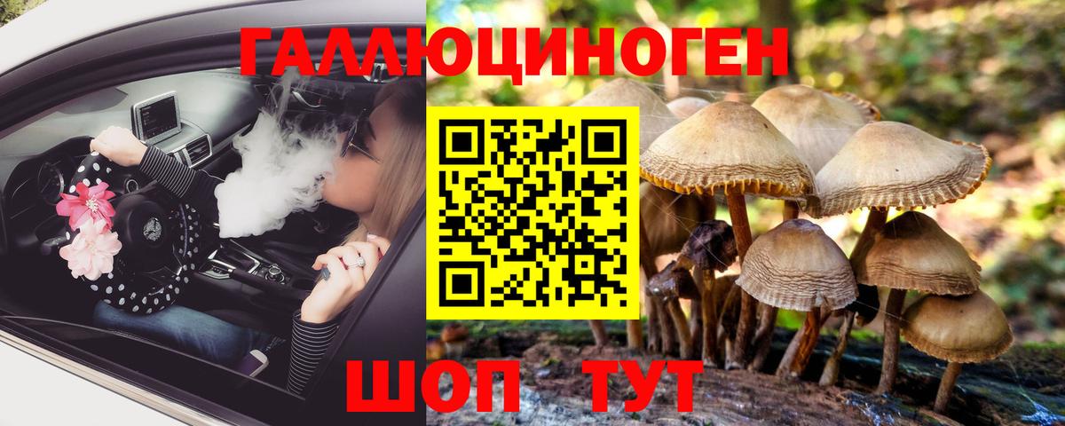 Галлюциногенные грибы ЛСД Абакан